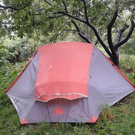 Hotel Issyk-Kul - Camping Grigoryevka Grigor'yevka Zewnętrze zdjęcie