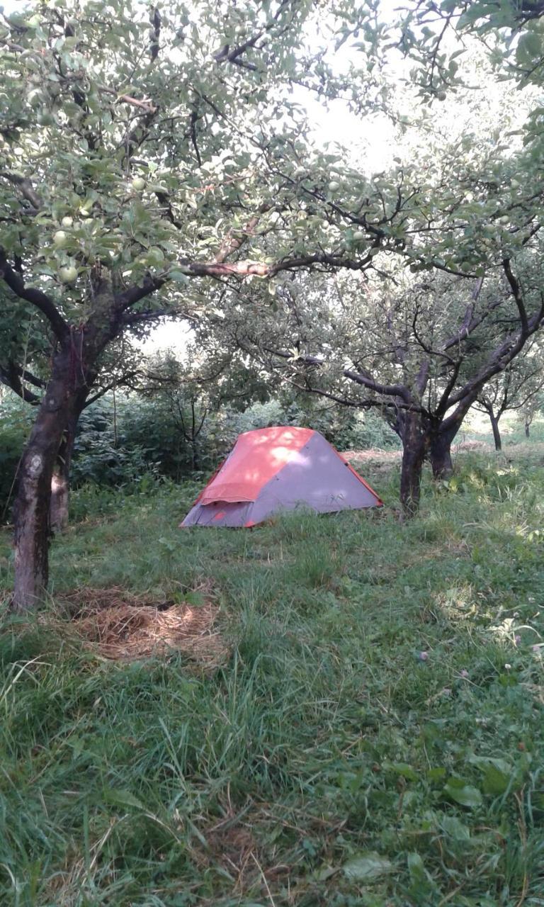 Hotel Issyk-Kul - Camping Grigoryevka Grigor'yevka Zewnętrze zdjęcie