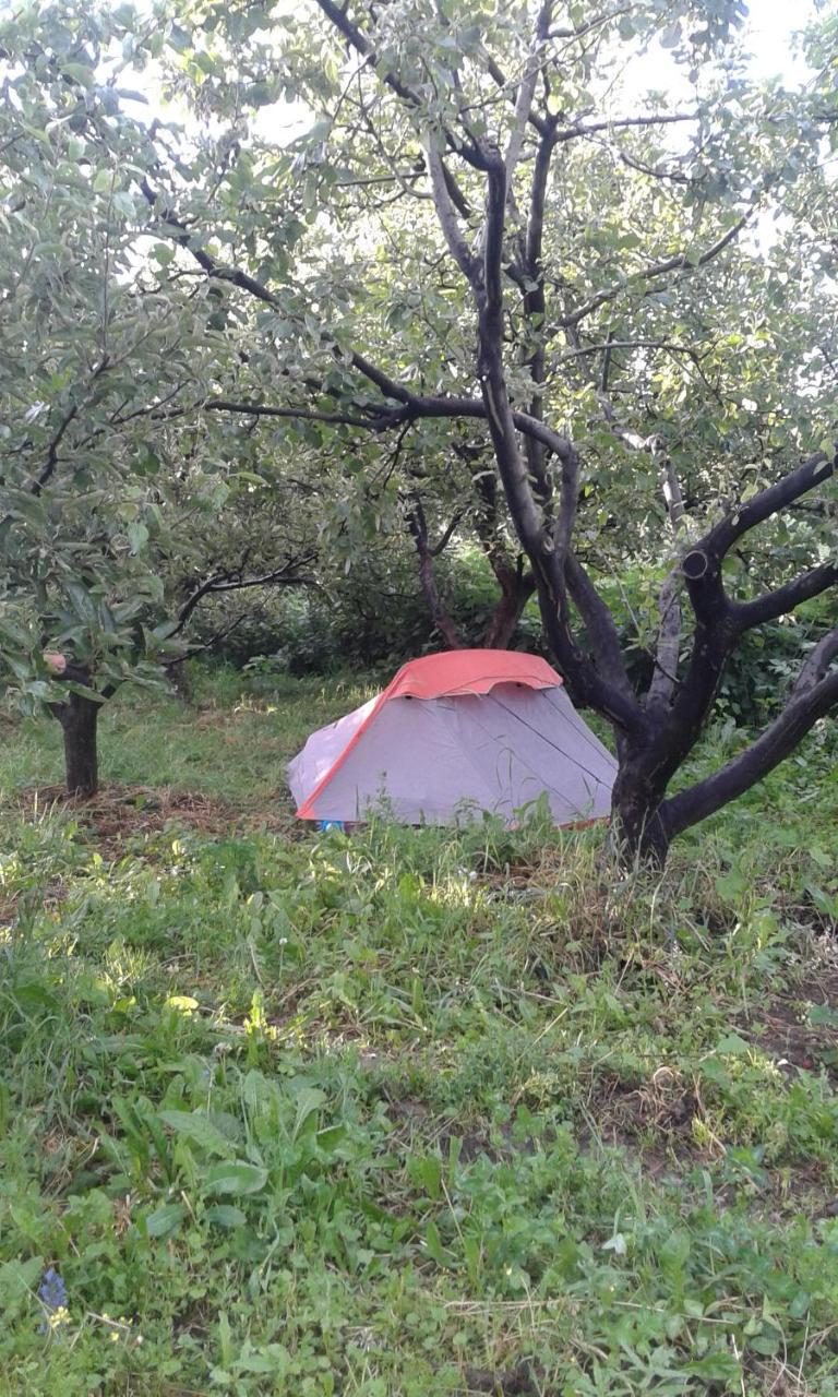 Hotel Issyk-Kul - Camping Grigoryevka Grigor'yevka Zewnętrze zdjęcie
