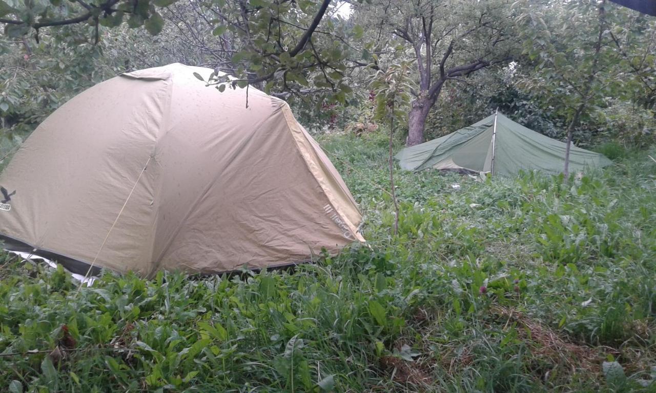 Hotel Issyk-Kul - Camping Grigoryevka Grigor'yevka Zewnętrze zdjęcie
